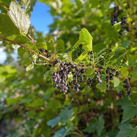 Stunning Character Near Keswick Threlkeld